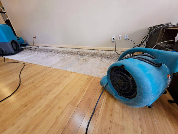 Professional Emergency Water Damage technician working in Londonderry, NH